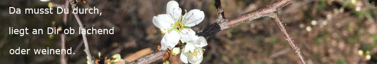 Endlich Frühling